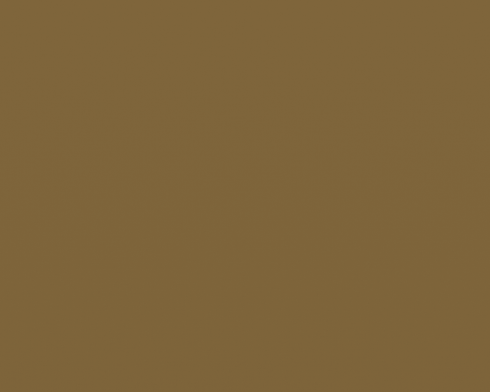 C4 - Peinture Spray (Coyote)