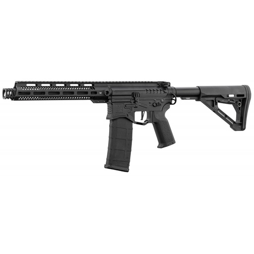 Zion Arms - R15 Mod1 Garde Main Long